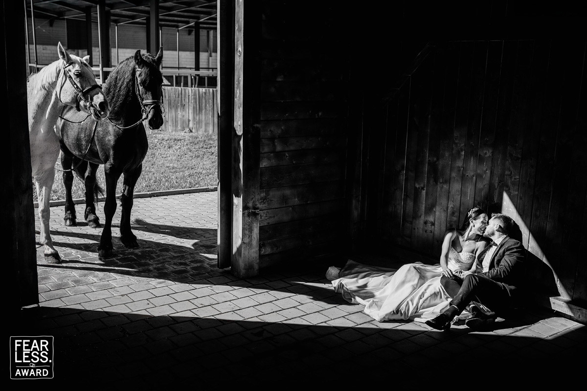 Gabriel Filip gallery photo