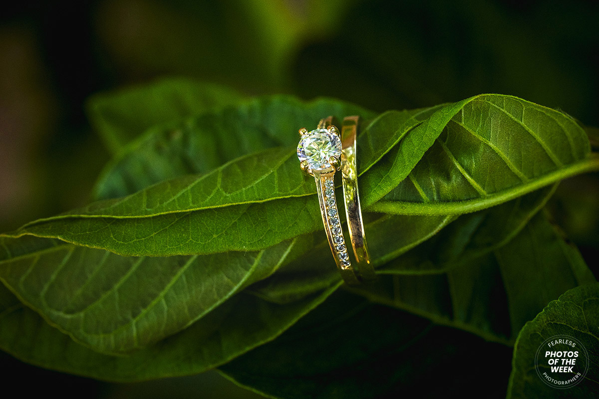 Mbalenhle Philip Sibanda gallery photo