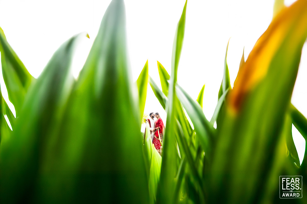 Naahushi Kavuri gallery photo