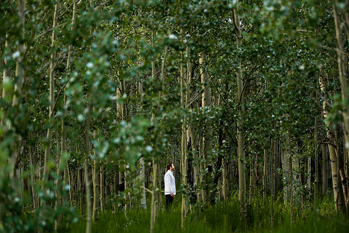 Moira La Plante